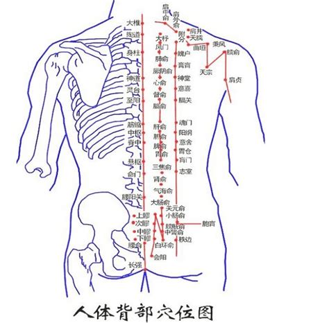 背后痣|后背长痣痣相图解 背上长痣代表什么